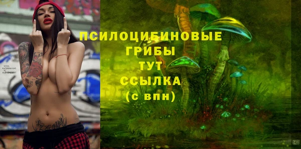 бошки Нефтегорск