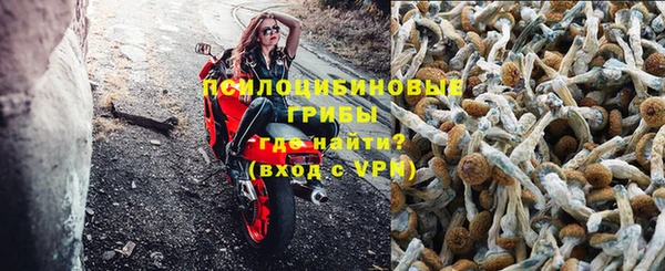 бошки Нефтегорск