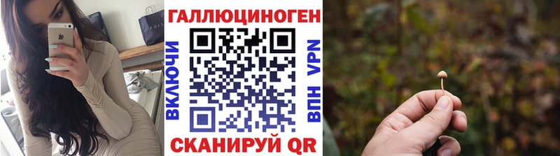 Купить закладки  Ставрополь  Псилоцибиновые грибы Cubensis 